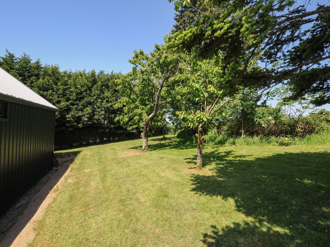 The Shed