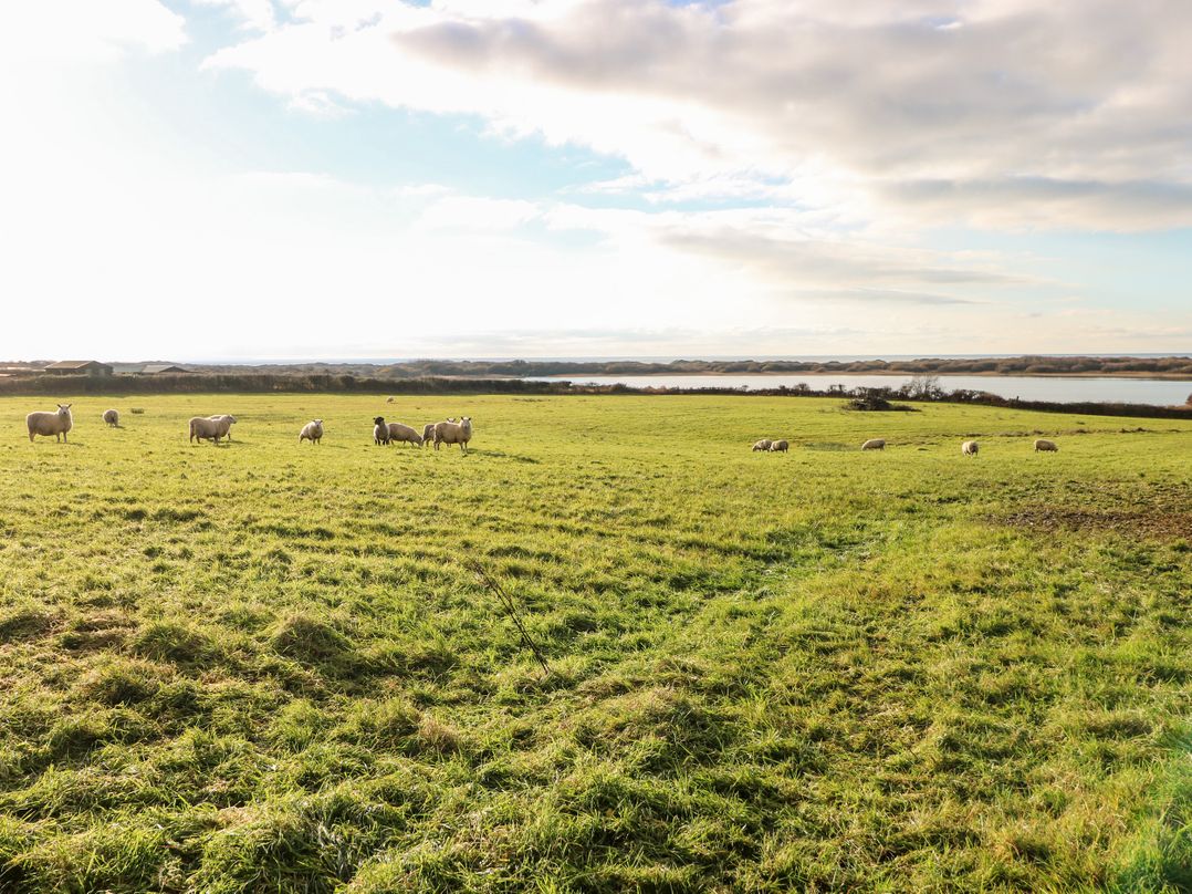 Kenfig Farm
