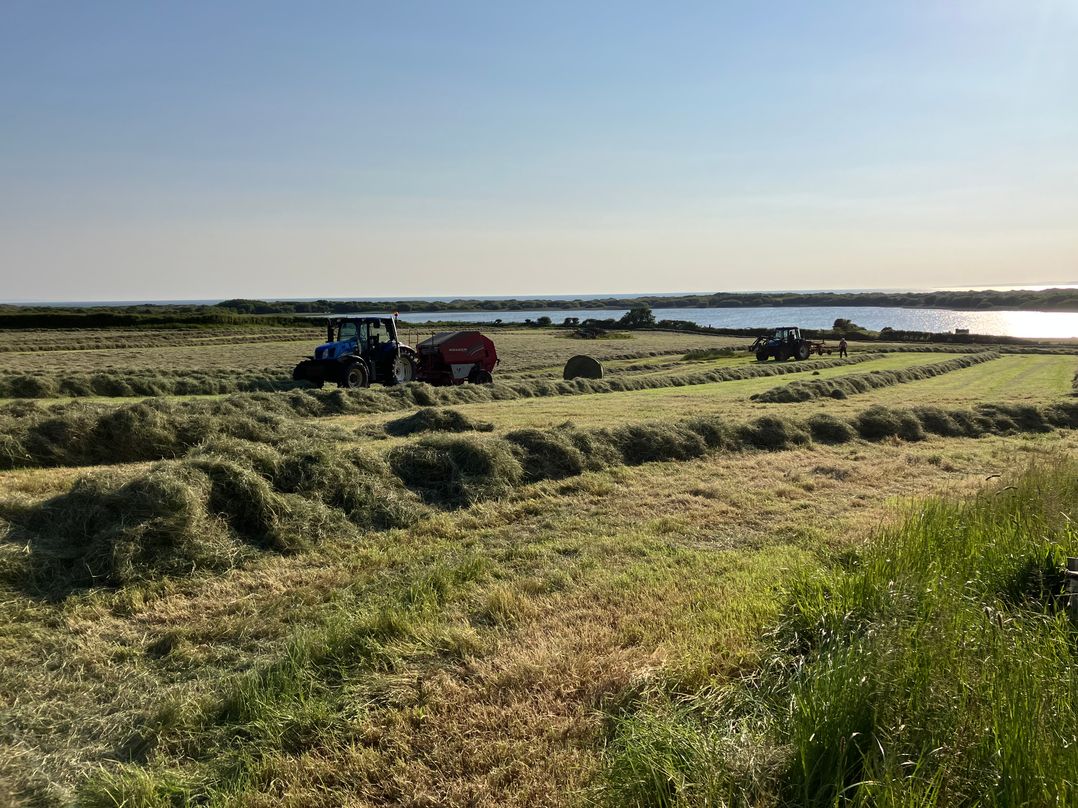 Kenfig Farm