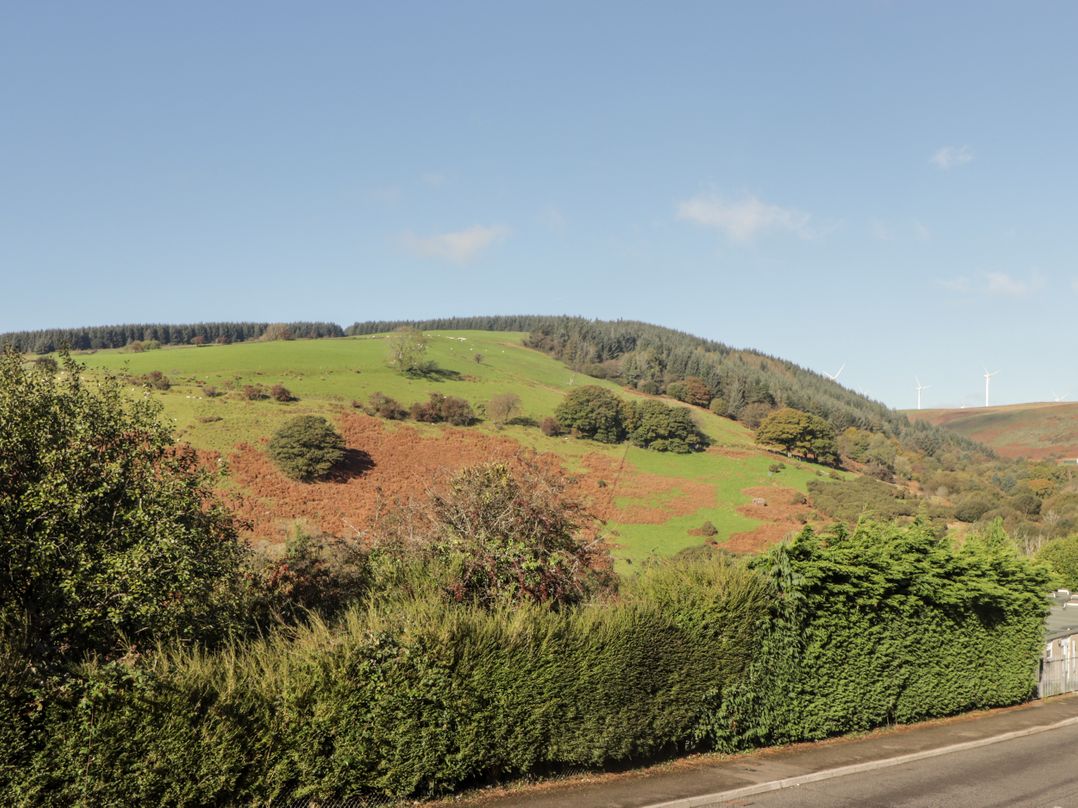 Golygfa Bryn