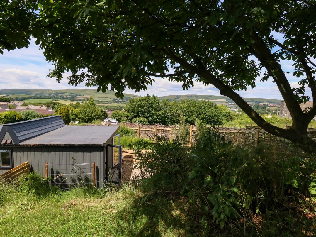 The Cabin