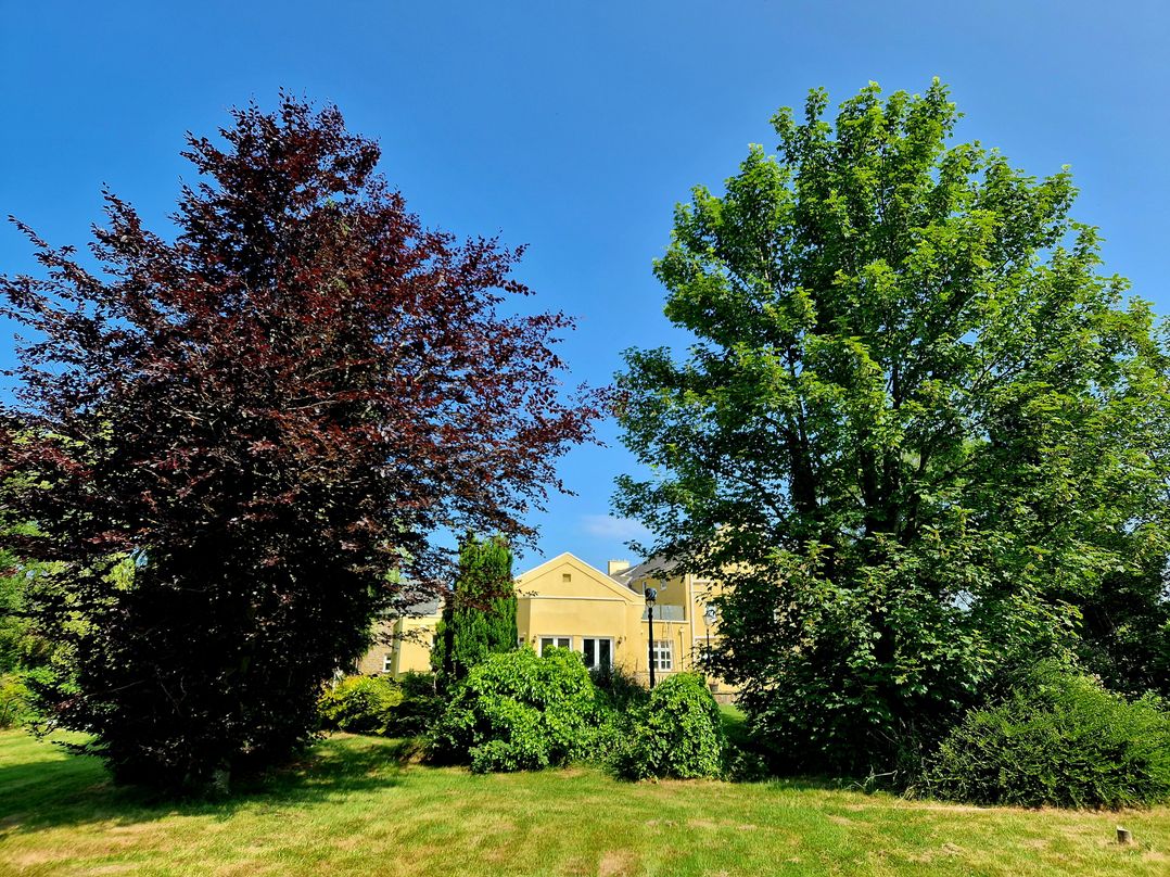 8 Coach House
