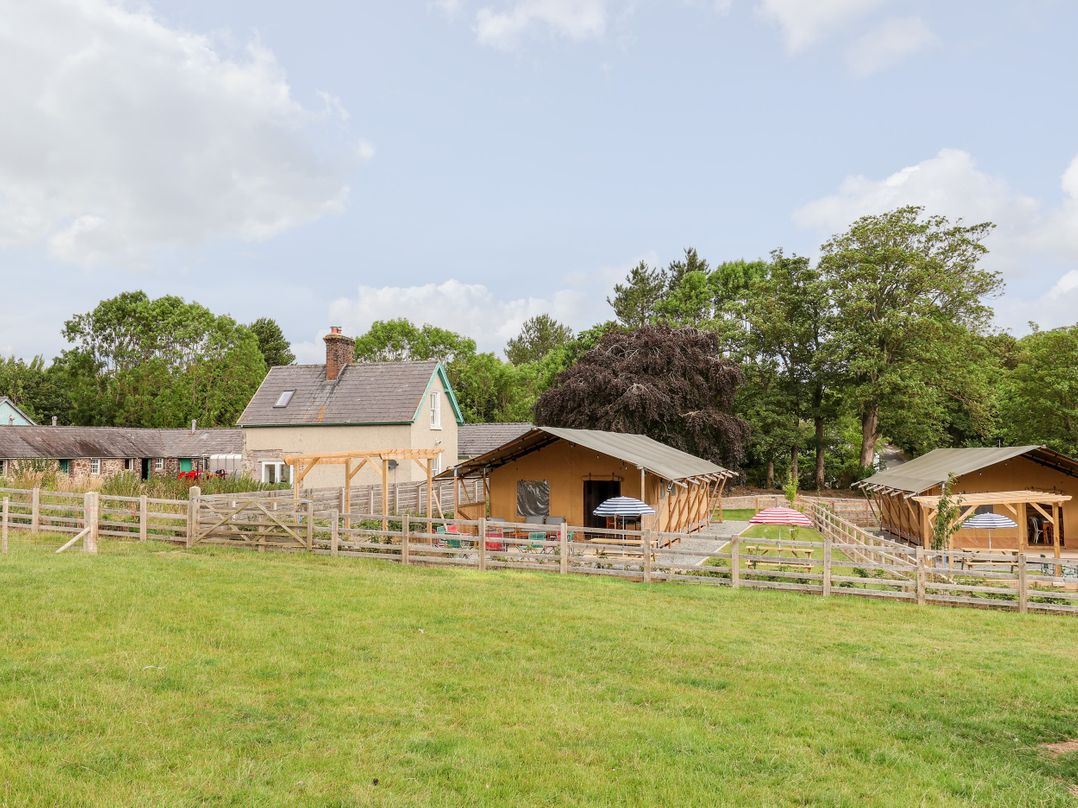 Lucky Clucky Lodge