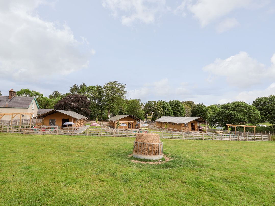 Lucky Clucky Lodge