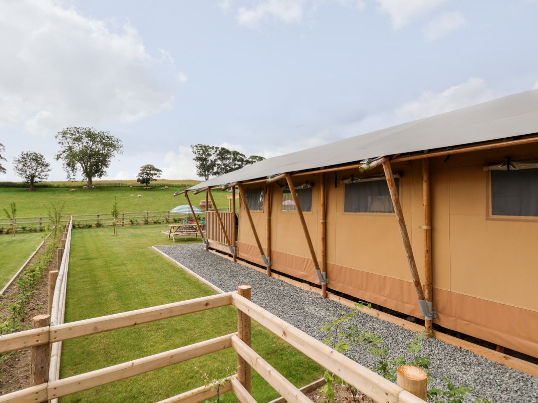 Mad Molly Lodge
