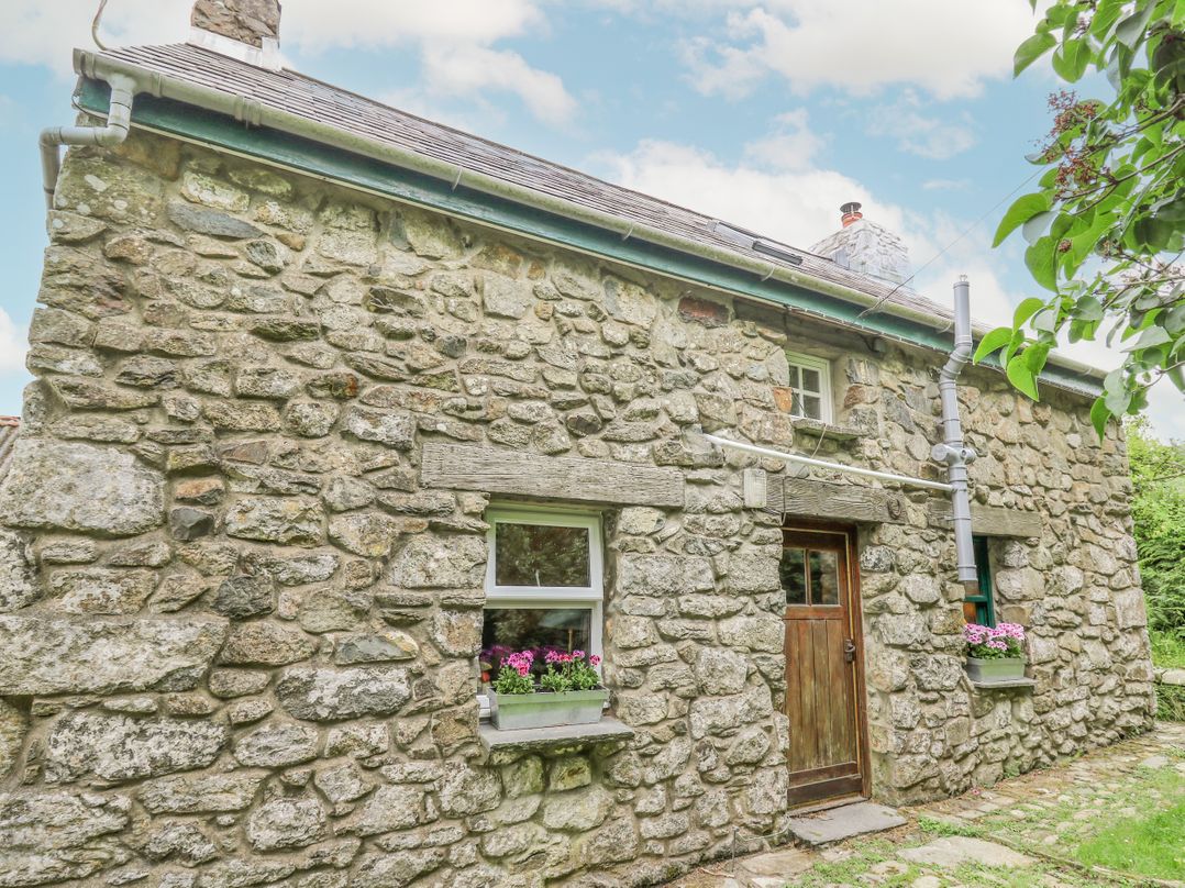 Penfeidr Newydd