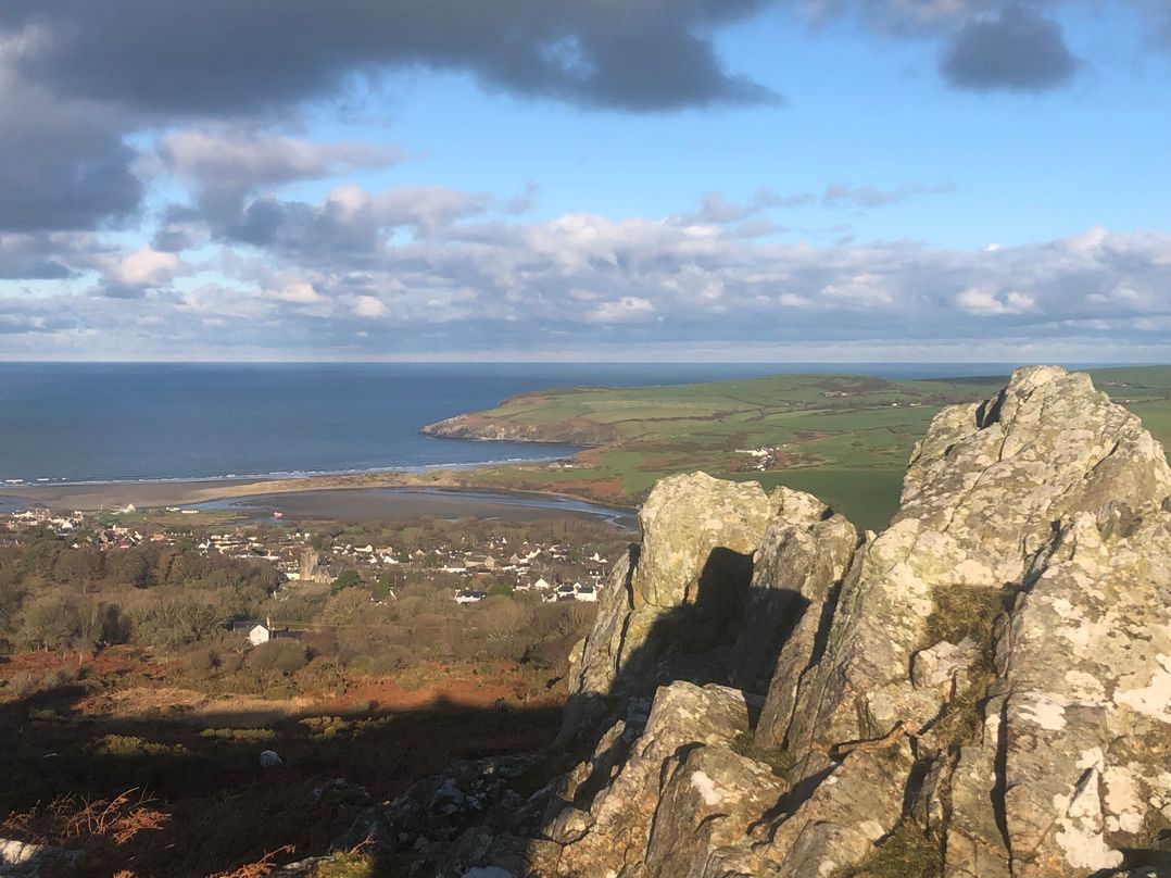Penfeidr Newydd