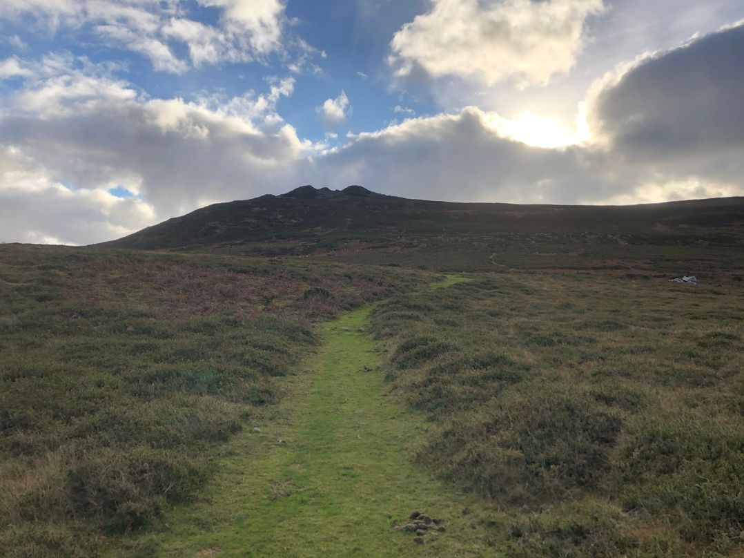 Penfeidr Newydd