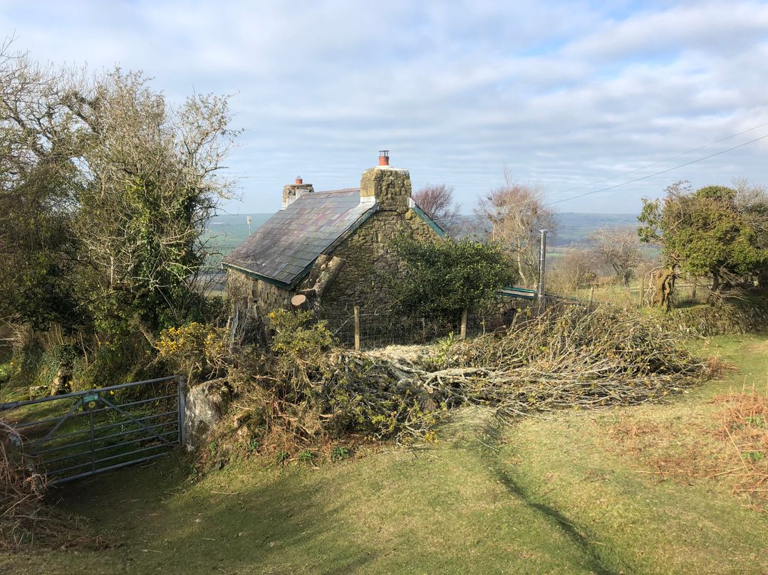 Penfeidr Newydd