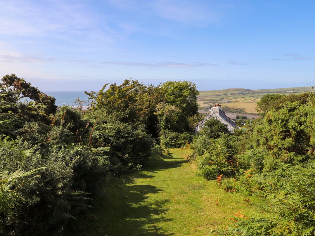 Penfeidr Newydd