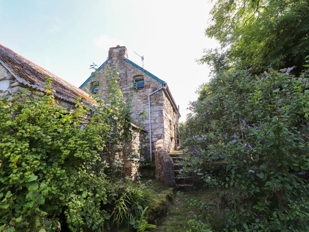 Penfeidr Newydd