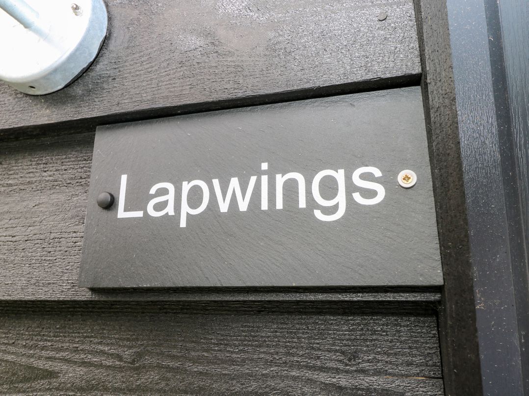 Lapwings