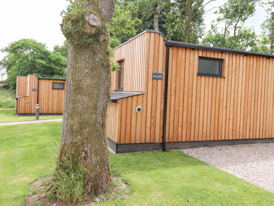 Bluebell Cabin