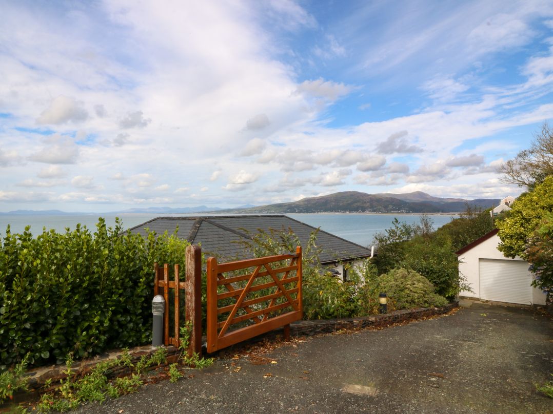 Gwylanod