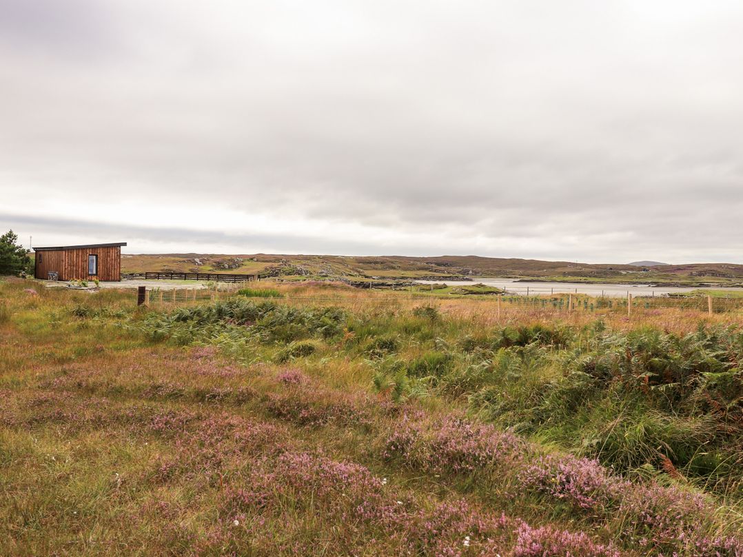 The Wheelhouse