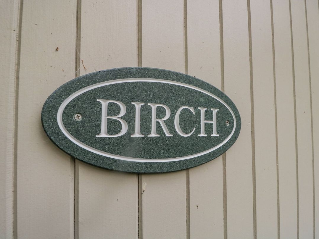 Birch