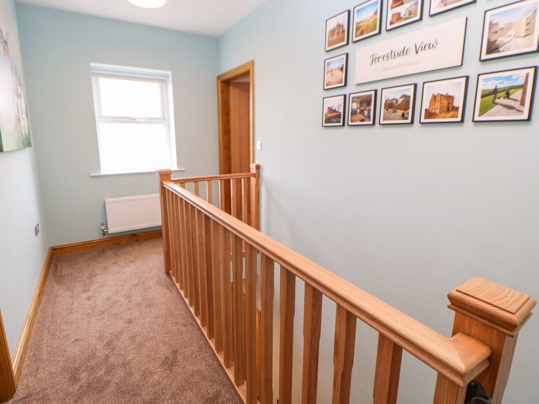 Forestside View
