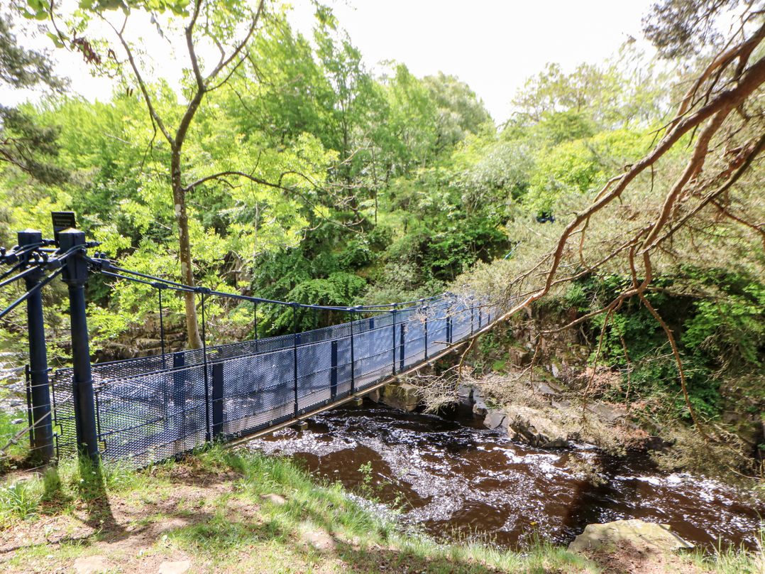 Forestside View