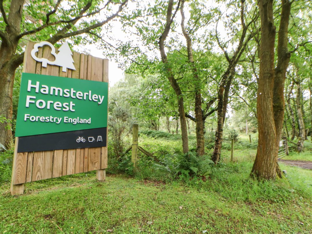 Forestside View