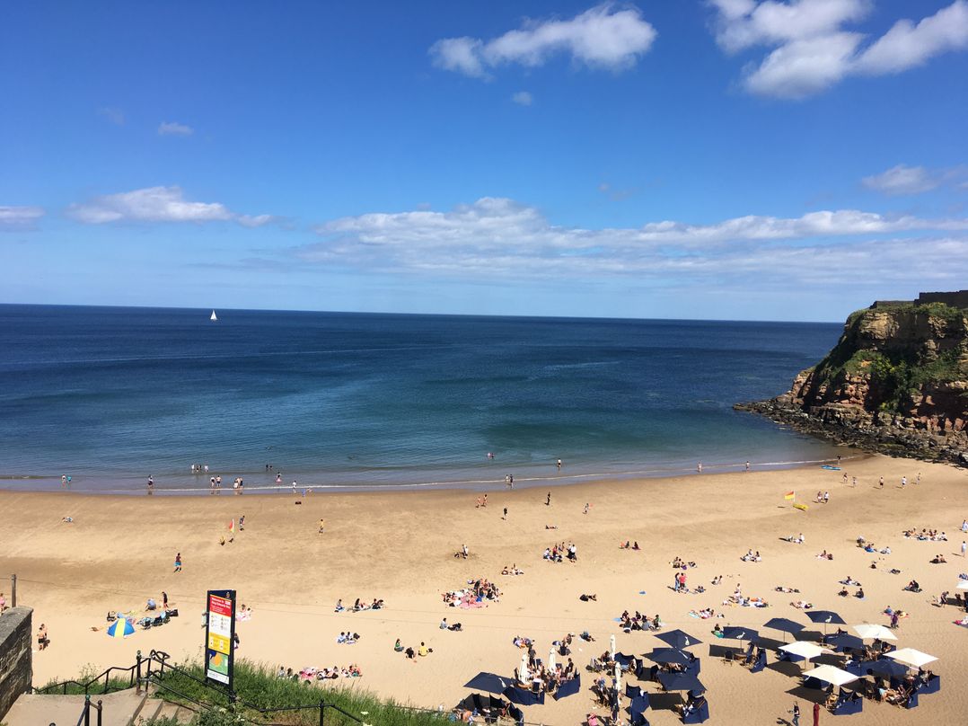 Limpet Lodge