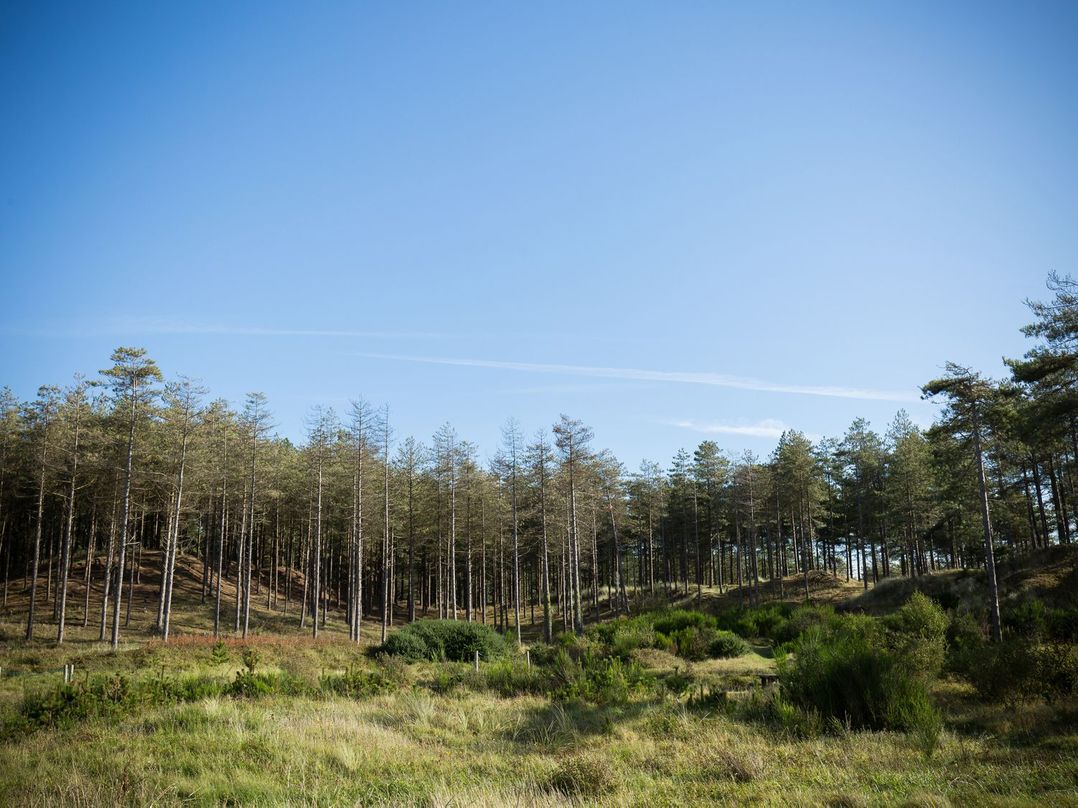 Gwel-y-Rhos