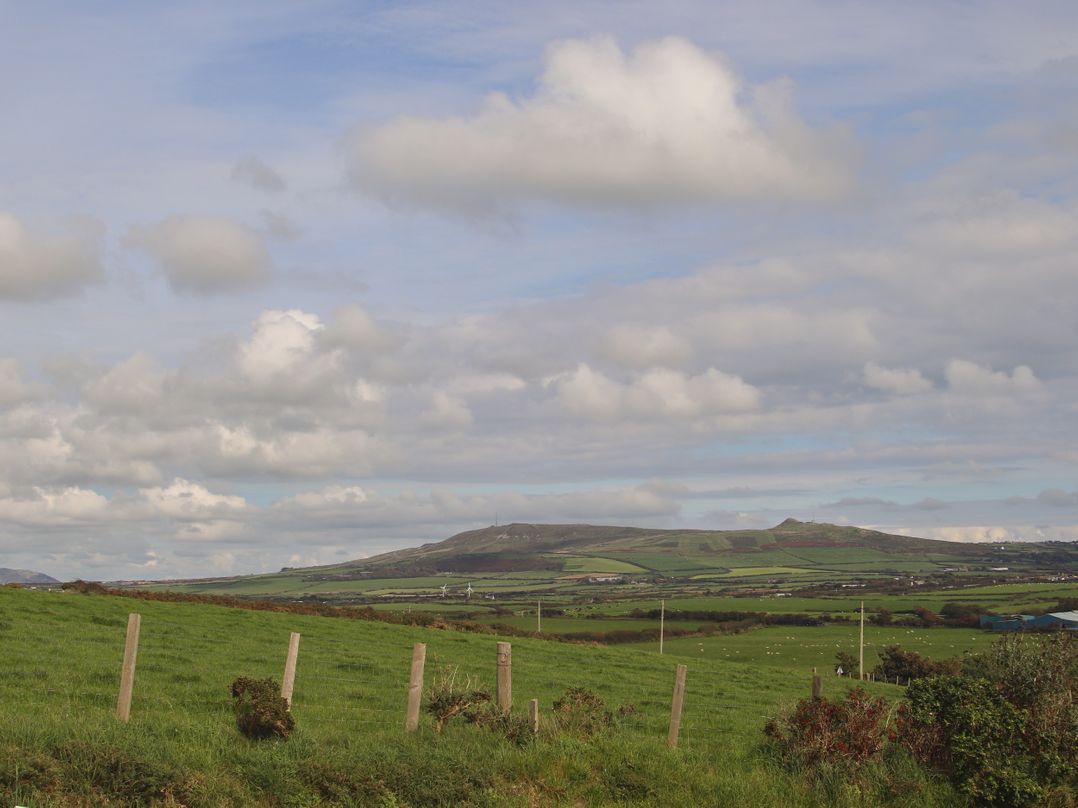 Cae'r Wylan