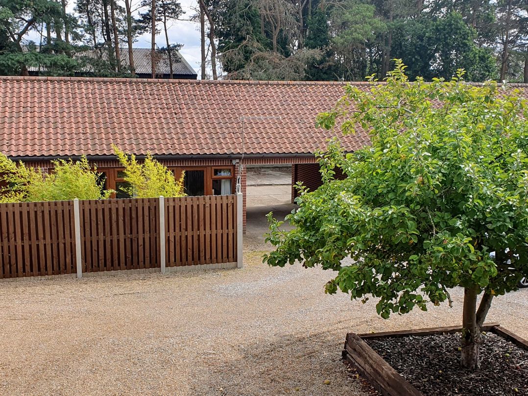 The Bull Pen