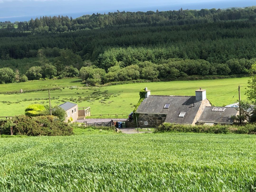 Ty Newydd
