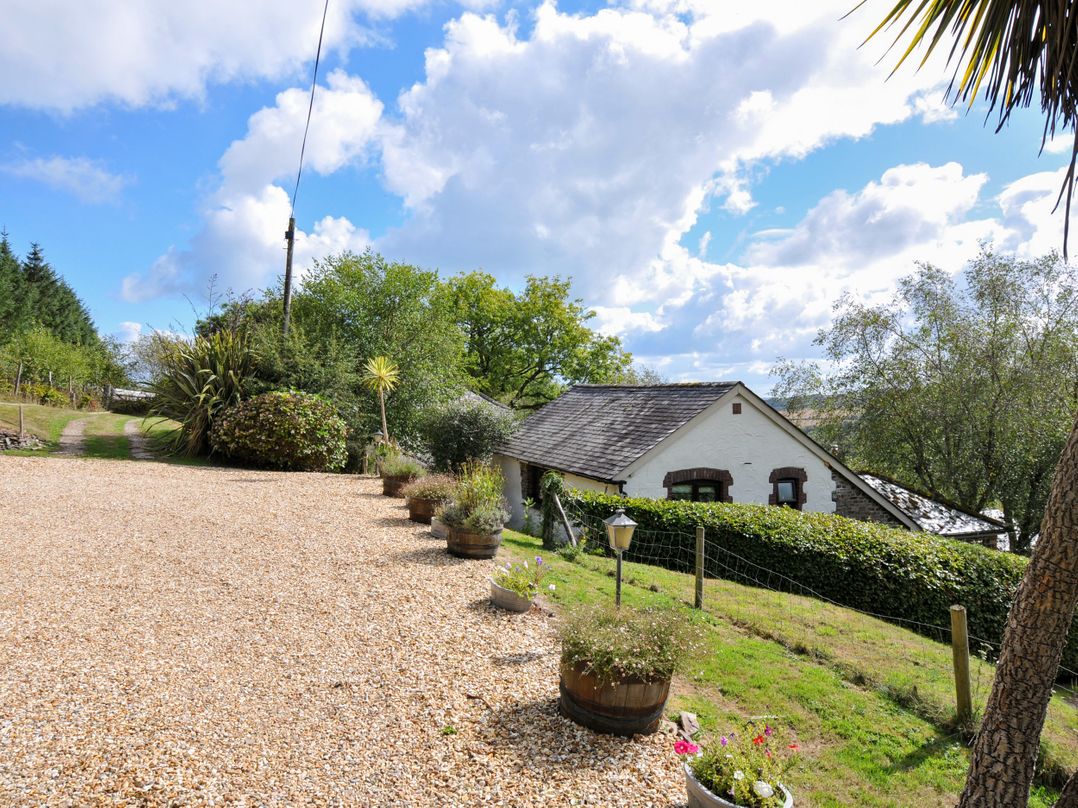 A gravel driveway leading to a house with garden plants at Barley Cottage in Hartland