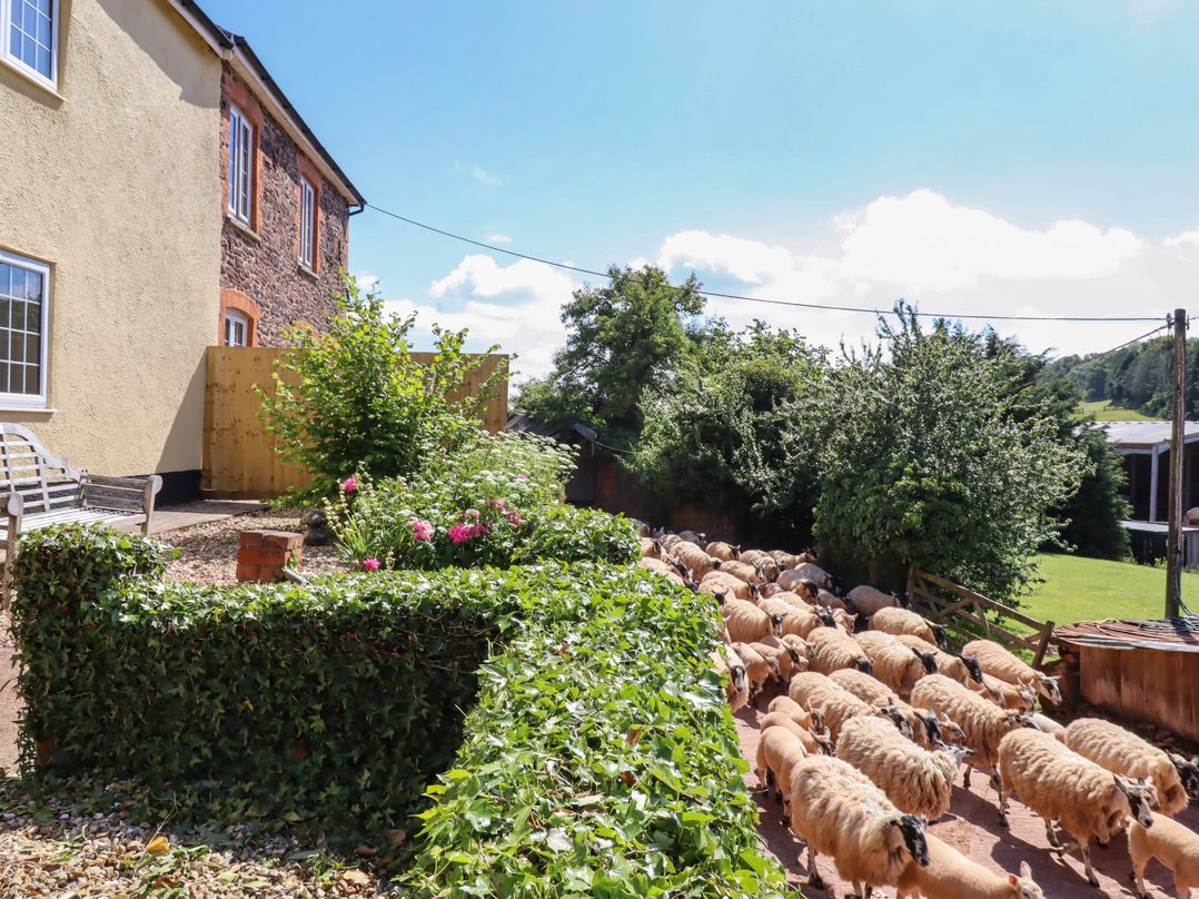 Twyford Farm Cottage