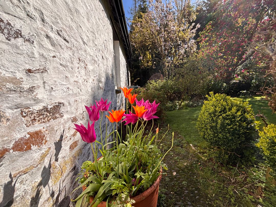 Laundry Cottage