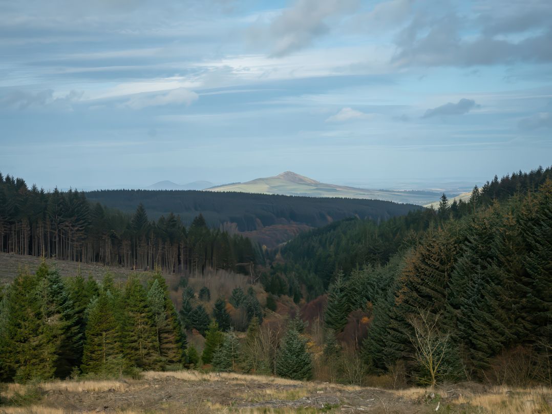 Station Masters House
