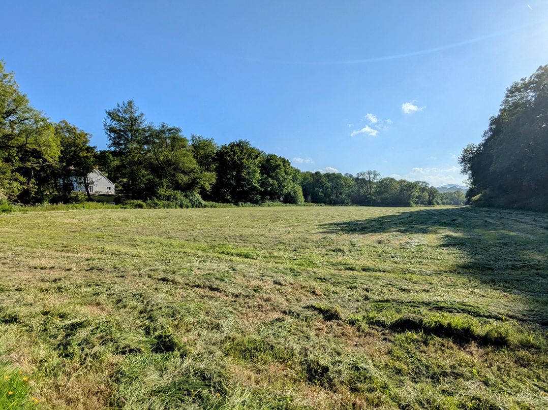 Glanduad Fawr