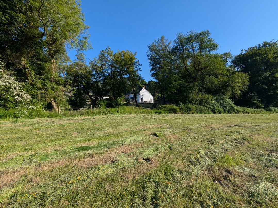 Glanduad Fawr