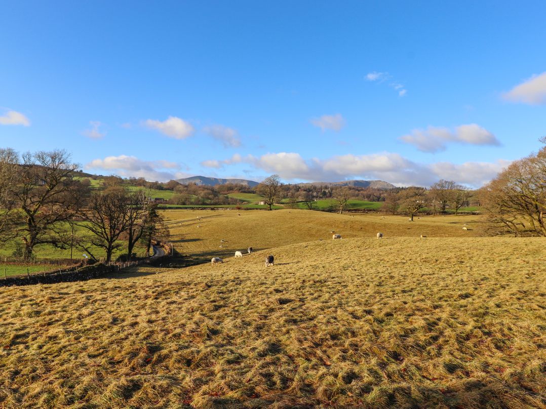 Grassings