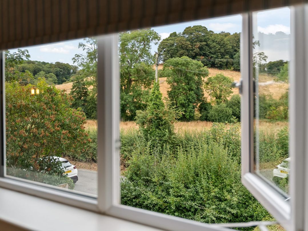 3 Olivers View