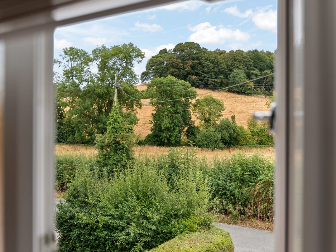 3 Olivers View