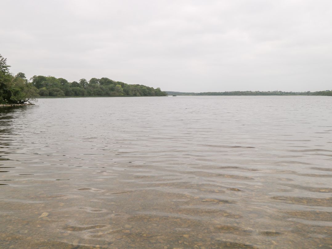 Swan Lake