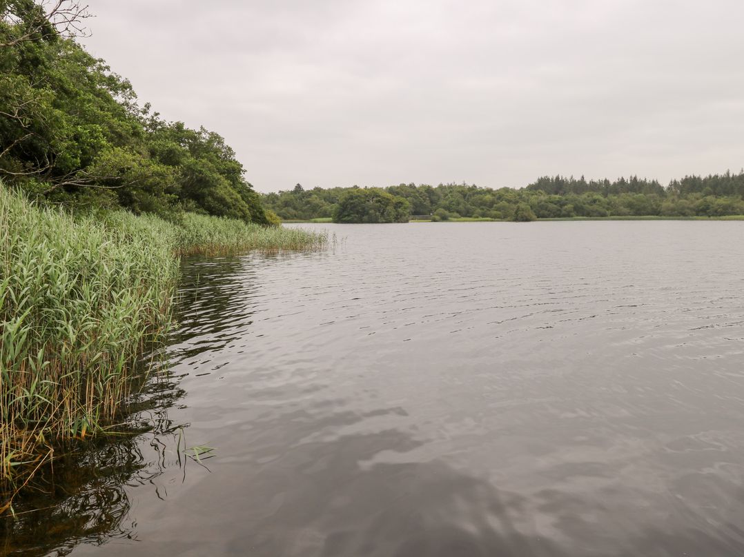 Swan Lake