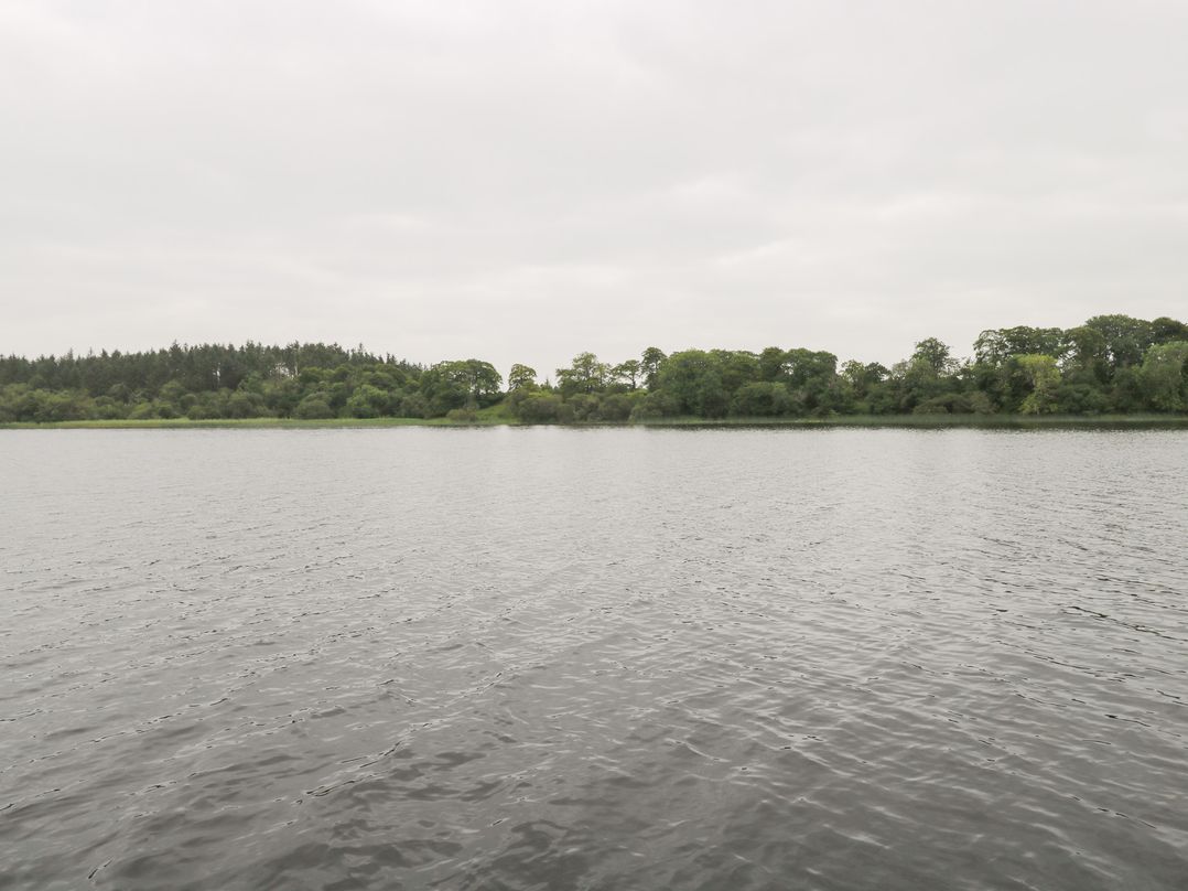 Swan Lake