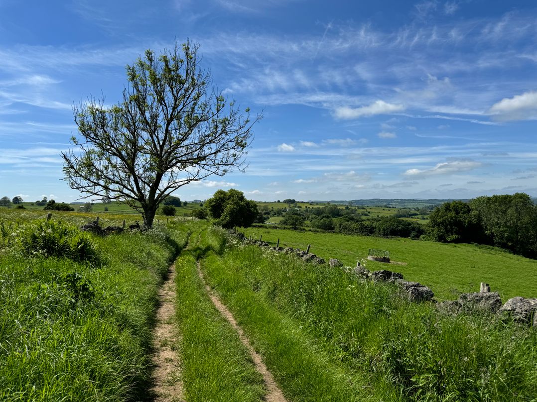 Tor Barn