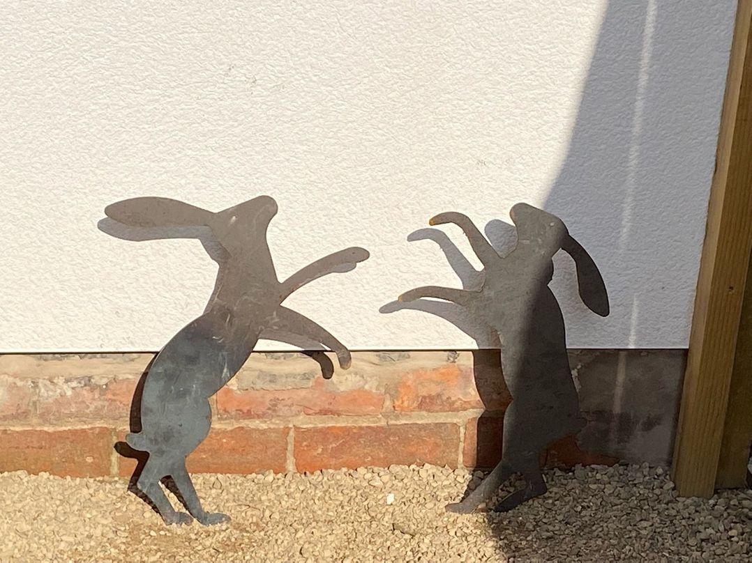 The Hare