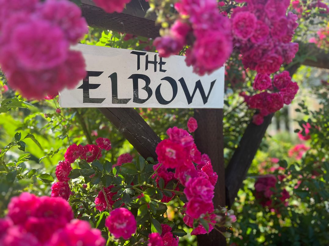 The Elbow