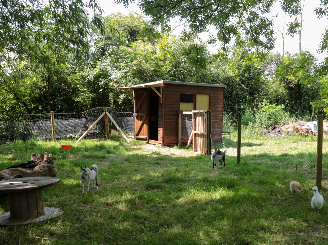The Foxes Den Shepherds Hut