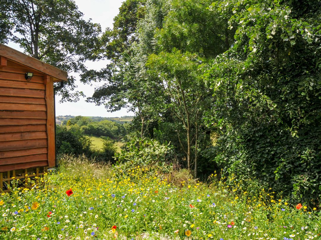 Owl Lodge