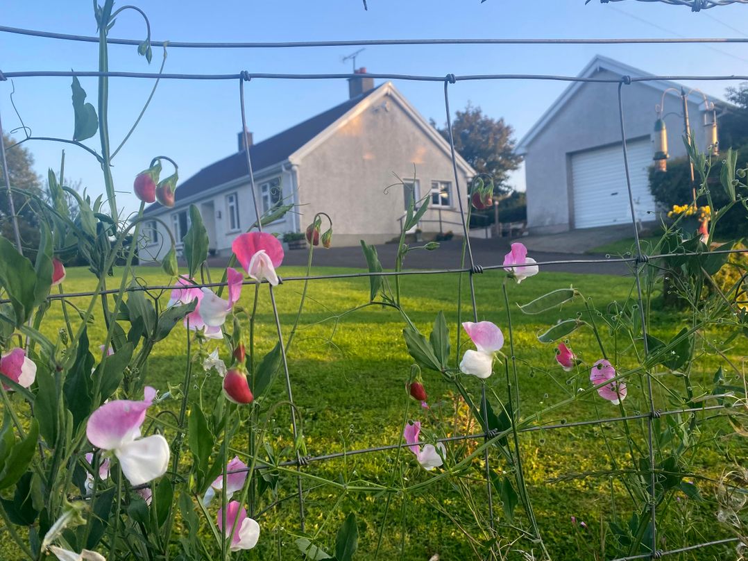 Betty's Farm Cottage