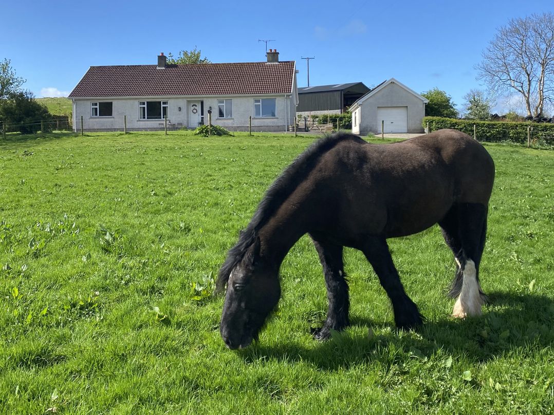 Betty's Farm Cottage