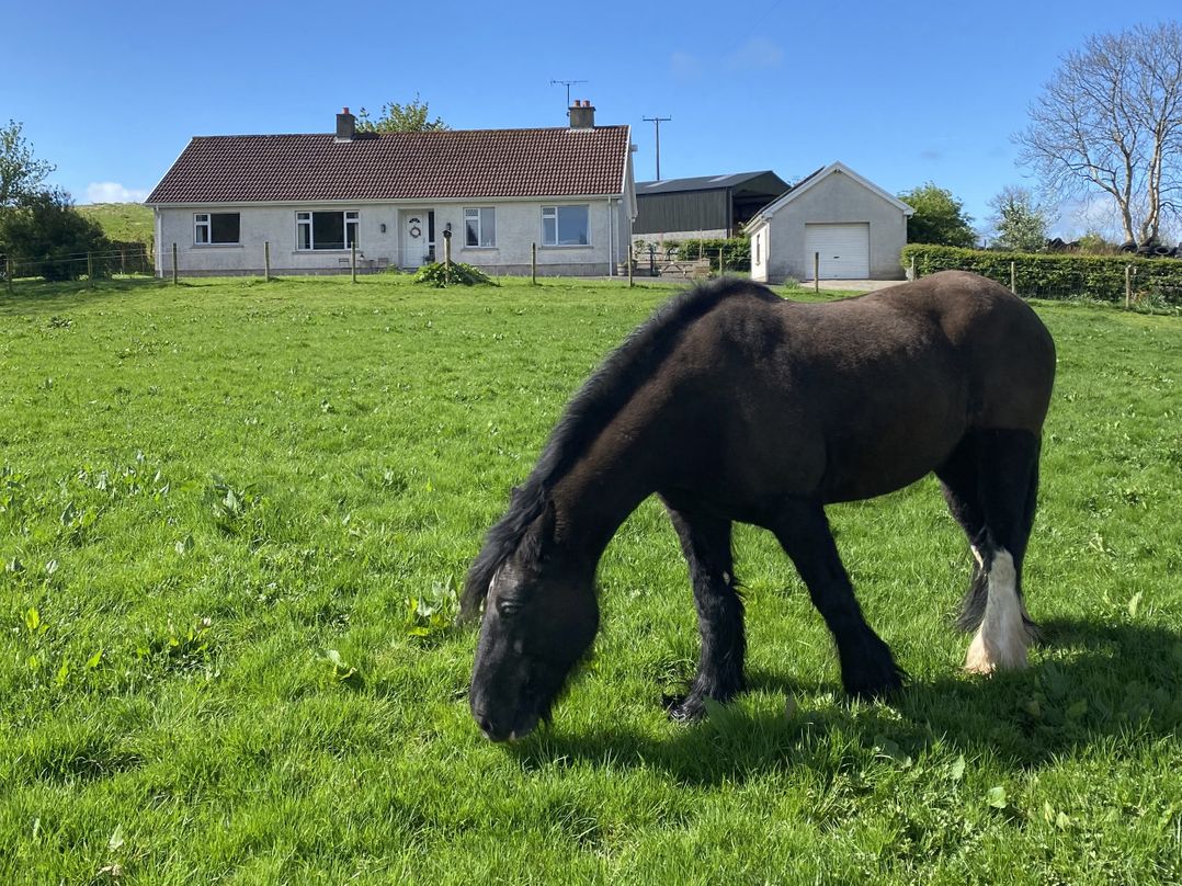 Betty's Farm Cottage