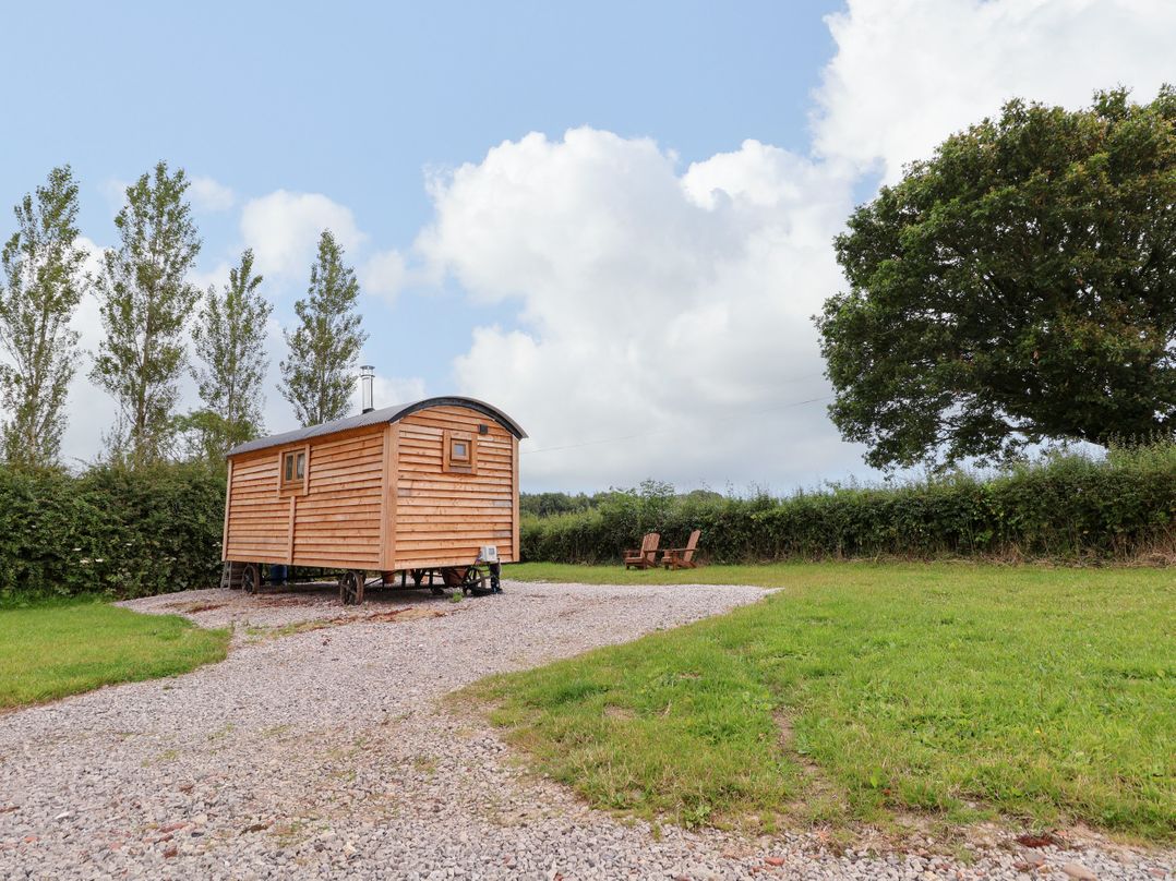 Cariad Mawr