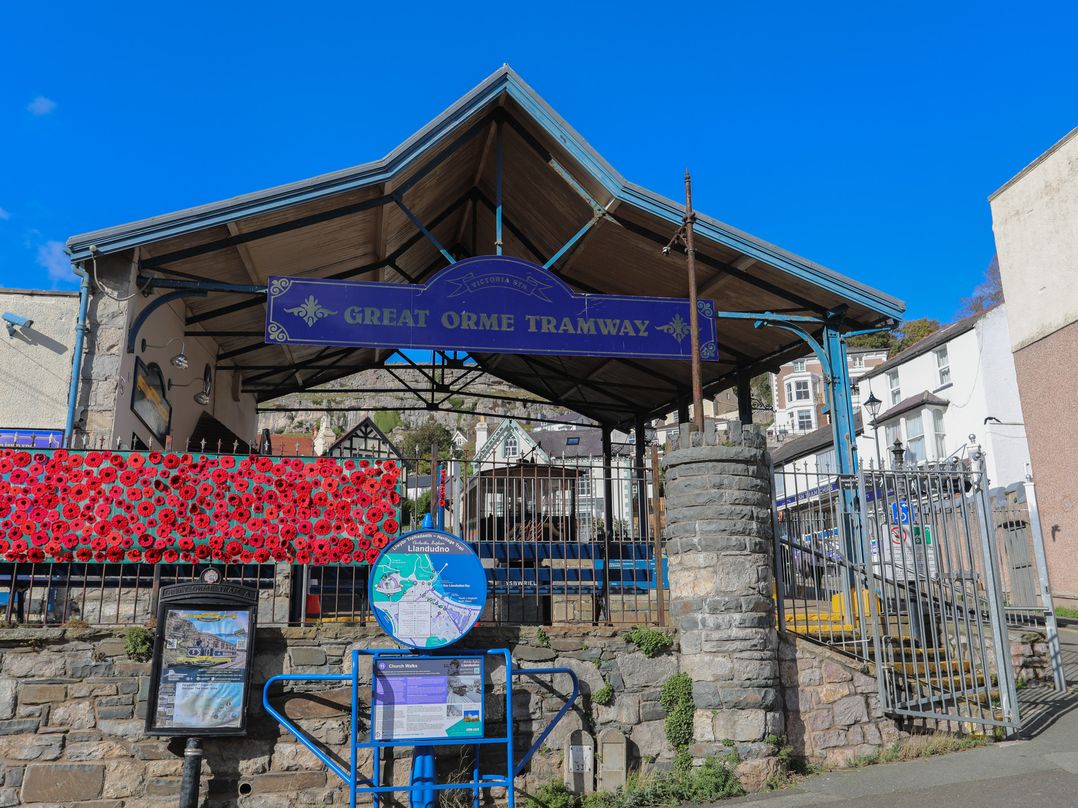 Noah's Rest